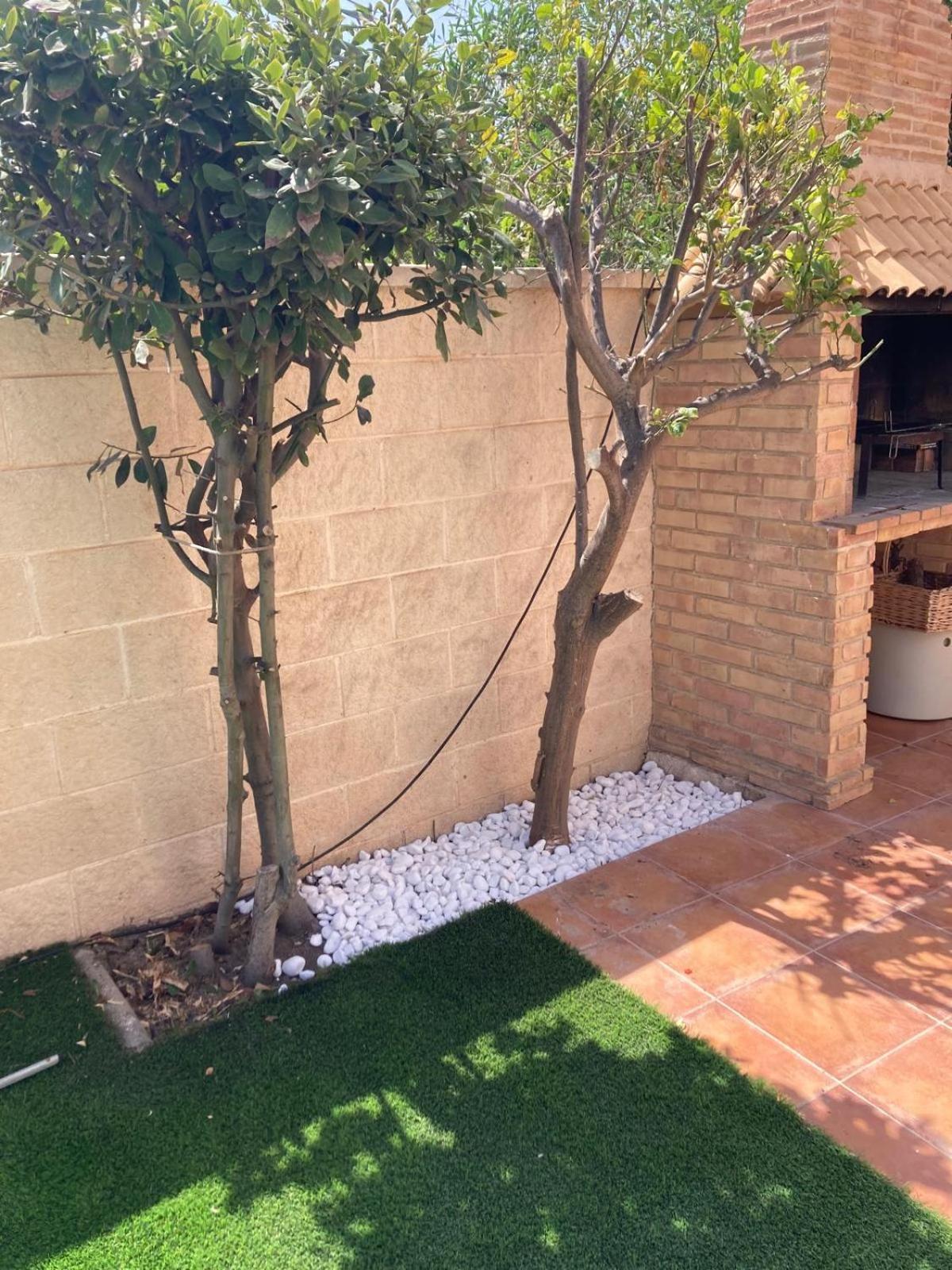 Luxury Villa 20Mts Far From The Sea Orihuela Extérieur photo